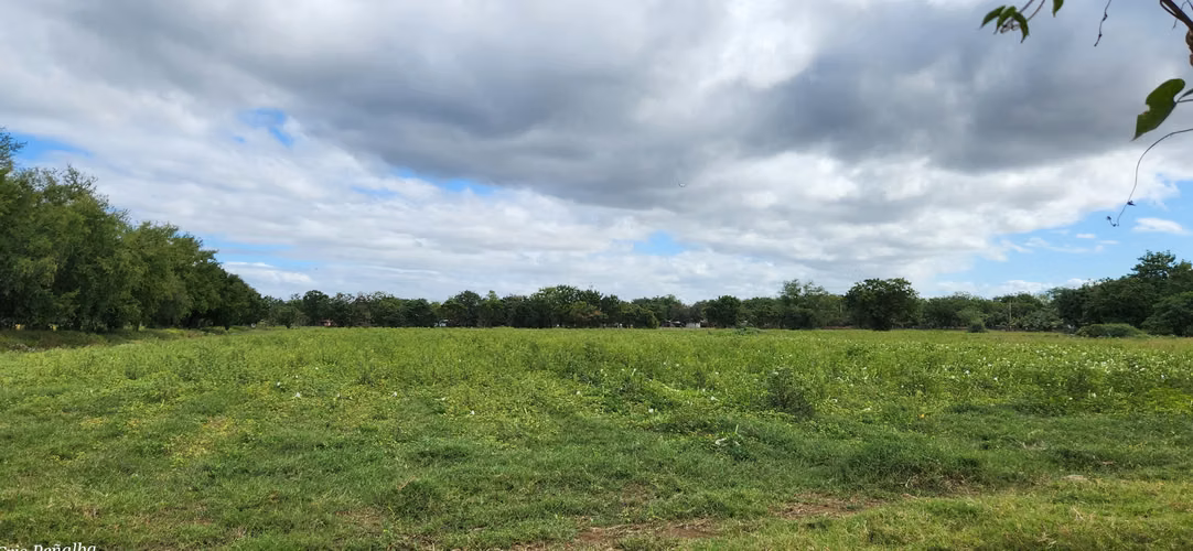 Terreno estratégico en venta en Sabana Grande - Imagen 12