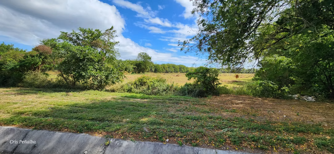 Terreno estratégico en venta en Sabana Grande - Imagen 13