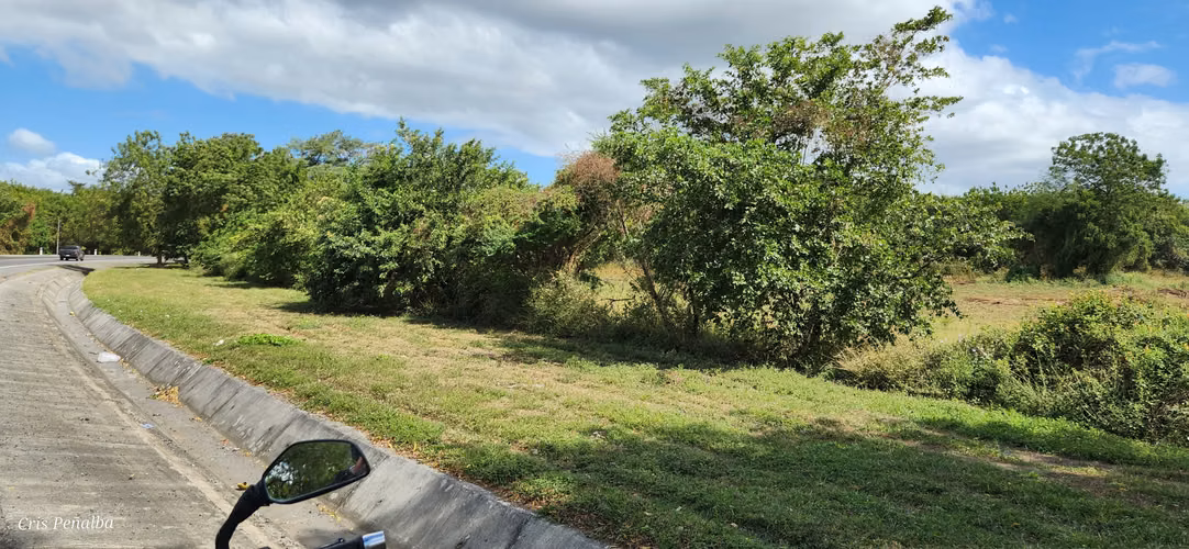 Terreno estratégico en venta en Sabana Grande - Imagen 9