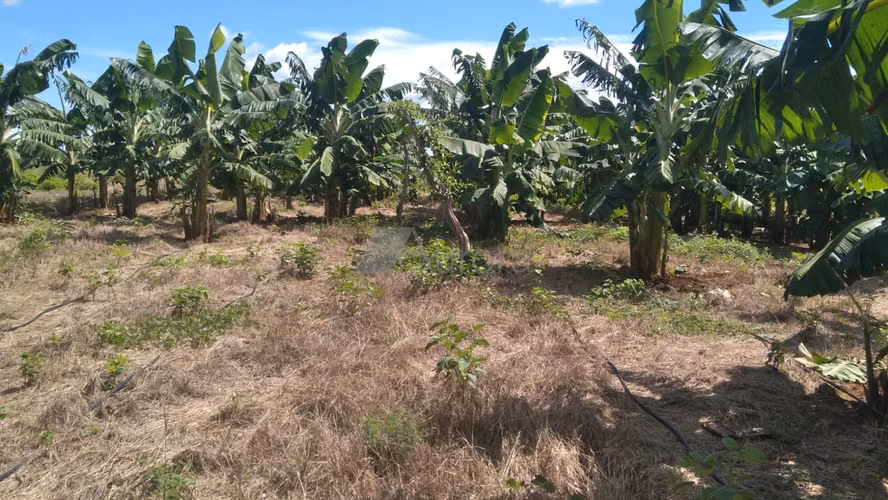 San Benito 0001 - Imagen 6