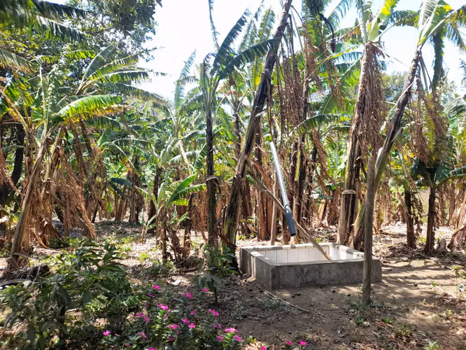 SE VENDE FINCA DE 32 MANZANAS.