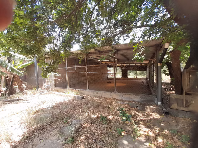 SE VENDE FINCA DE 32 MANZANAS.