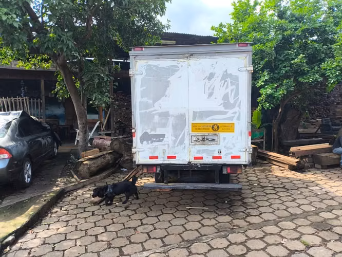 Camión Isuzu 2016