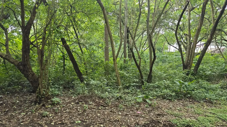 Terreno en venta en Santo Domingo - Imagen 2