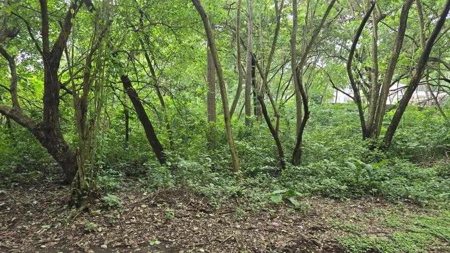 Terreno en venta en Santo Domingo - Imagen 2