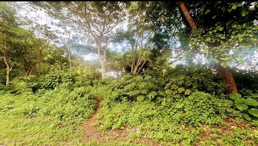 Terreno en venta en Santo Domingo - Imagen 2