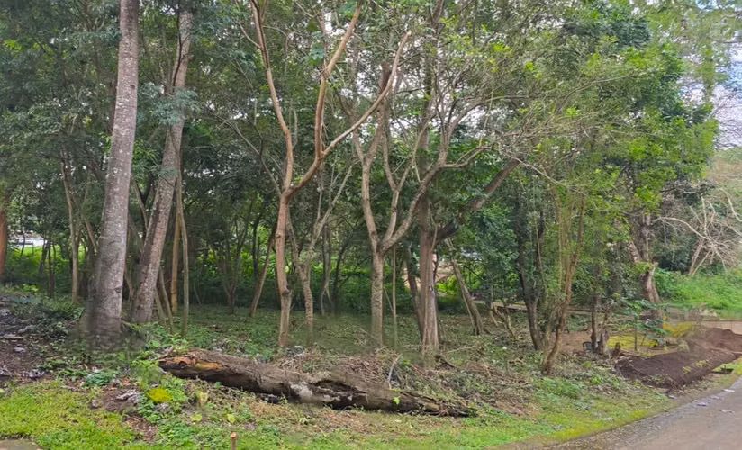 Land / Lot for sale in Santo Domingo