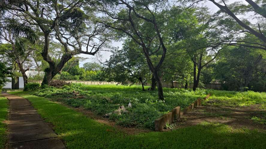 Land / Lot for sale in Santo Domingo