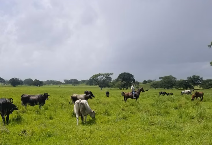 Finca en venta en Muy Muy 1890mz - Imagen 2