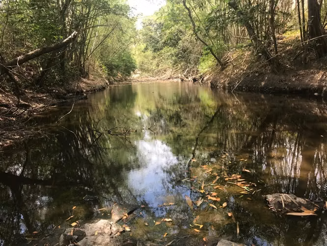 Finca en venta en Muy Muy 1890mz