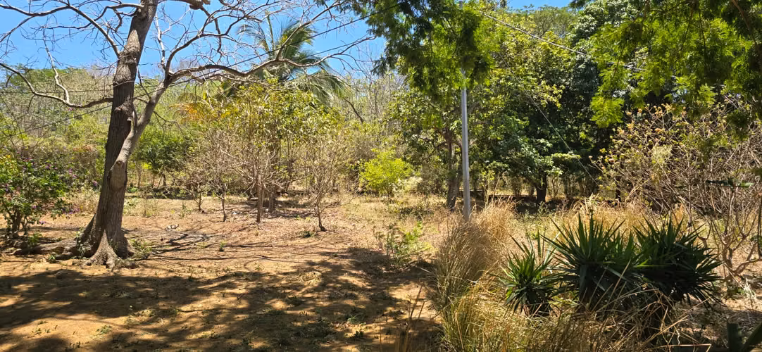 Renta de Quinta en Comarca Cuajachillo, Carretera Vieja a León - Imagen 2