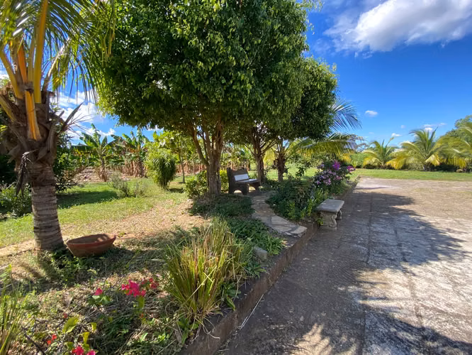 AG- Venta de Finca en Nindirí Precio Negociable o Cambio por casa en Managua - Imagen 7