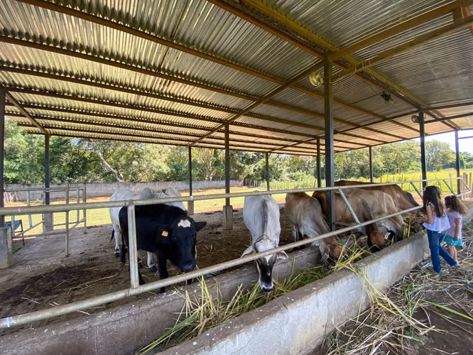 AG- Venta de Finca en Nindirí Precio Negociable o Cambio por casa en Managua
