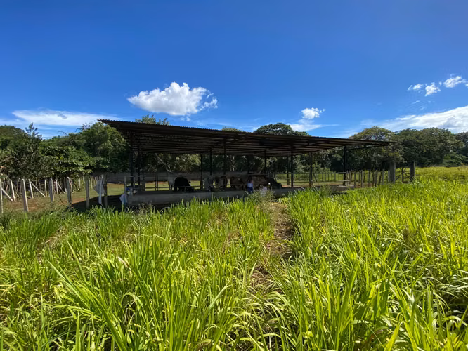 AG- Venta de Finca en Nindirí Precio Negociable o Cambio por casa en Managua - Imagen 11