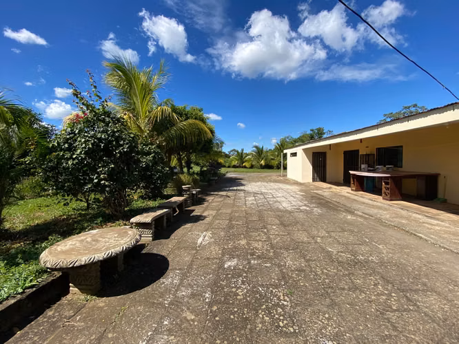 AG- Venta de Finca en Nindirí Precio Negociable o Cambio por casa en Managua - Imagen 8