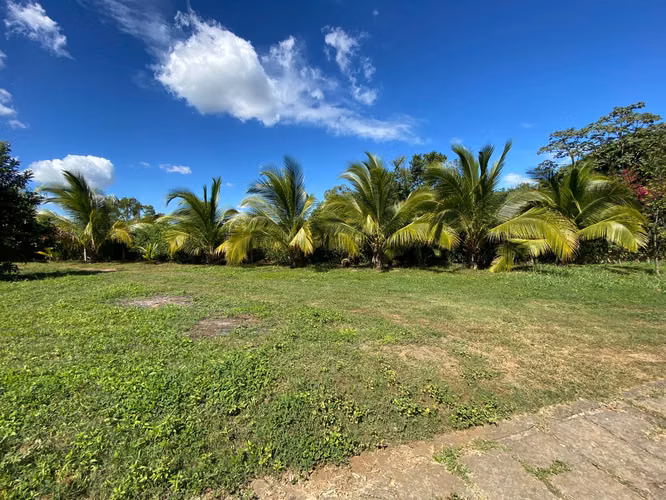 AG- Venta de Finca en Nindirí Precio Negociable o Cambio por casa en Managua - Imagen 3
