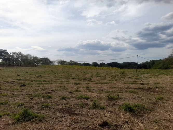 SE VENDE FINCA DE 32 MANZANAS DISEÑADA PARA GANADERÍA. - Imagen 17