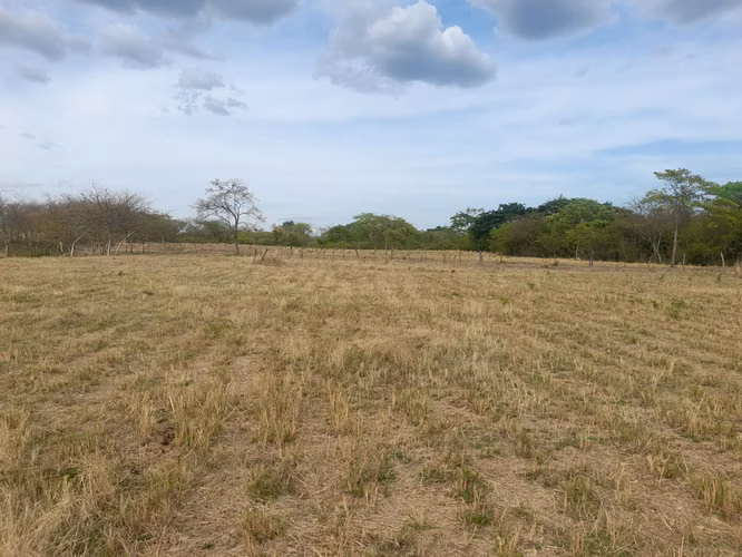 SE VENDE FINCA DE 32 MANZANAS DISEÑADA PARA GANADERÍA. - Imagen 18