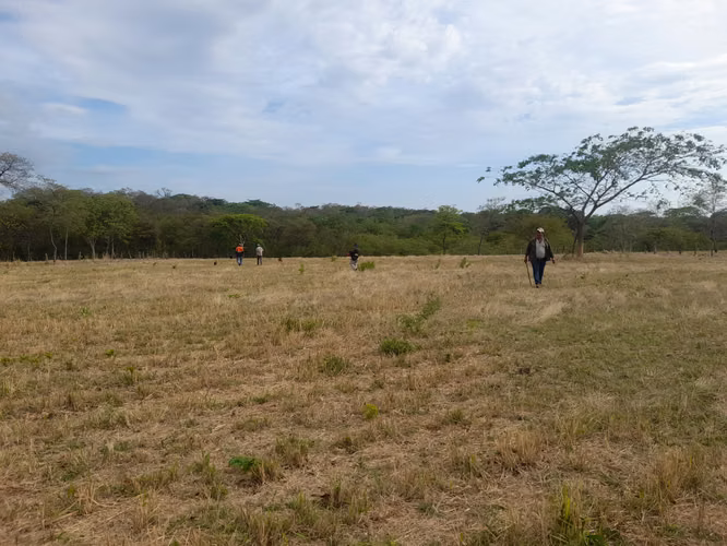 SE VENDE FINCA DE 32 MANZANAS DISEÑADA PARA GANADERÍA. - Imagen 19