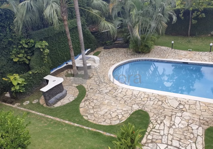 JPG 0336 SD - Imagen 4