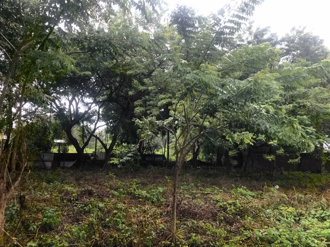 Se vende terreno en Las Colinas de 1102 V² - Imagen 6