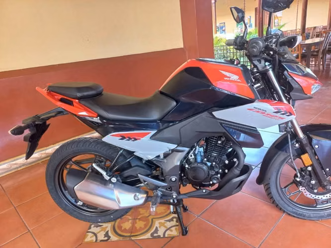 Moto Honda CB Hornet 125 cc - Imagen 2