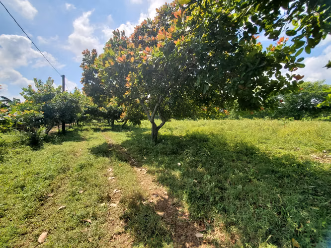 SL-Vendo finca en Tisma km 36