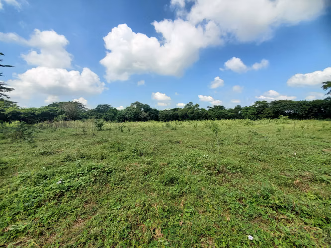 SL-Vendo finca en Tisma km 36