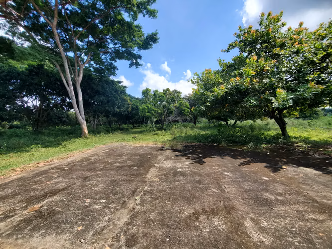 SL-Vendo finca en Tisma km 36