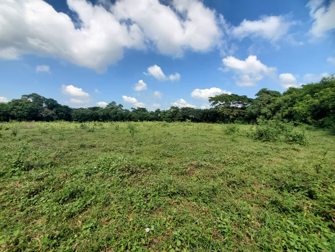 SL-Vendo finca en Tisma km 36