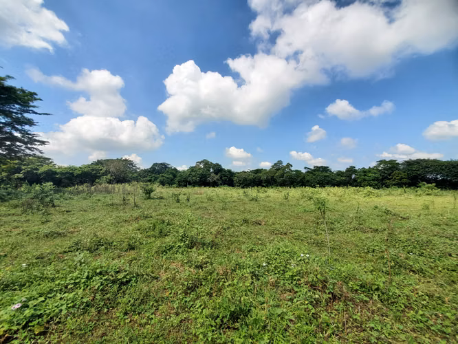 SL-Vendo finca en Tisma km 36
