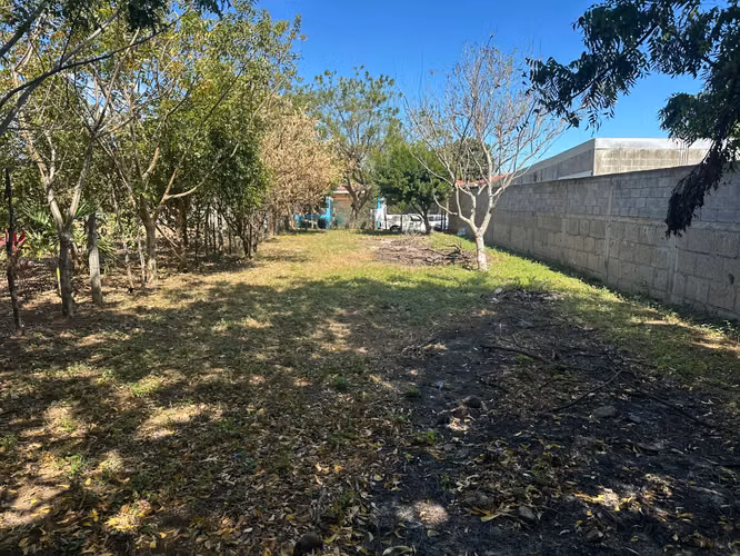 Venta de Terreno Carretera  hacia Veracruz MP - Imagen 5