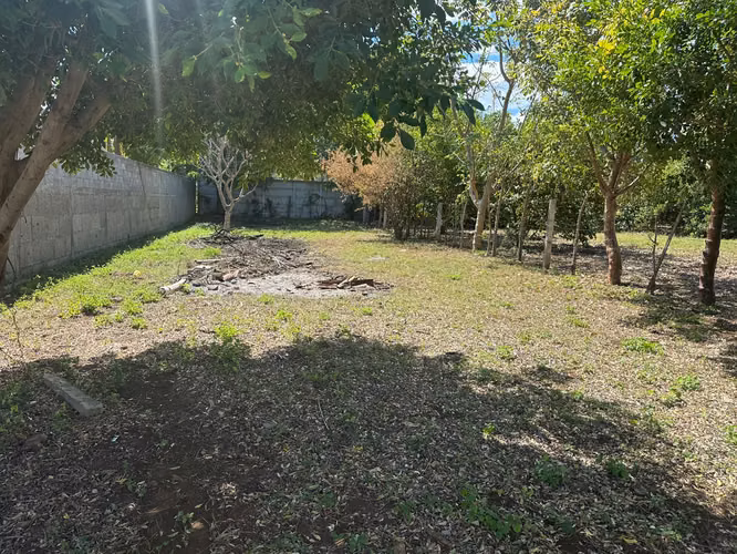 Venta de Terreno Carretera  hacia Veracruz MP - Imagen 2