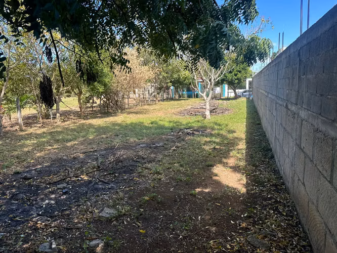 Venta de Terreno Carretera  hacia Veracruz MP - Imagen 7
