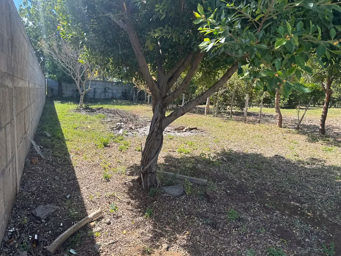 Venta de Terreno Carretera  hacia Veracruz MP - Imagen 3