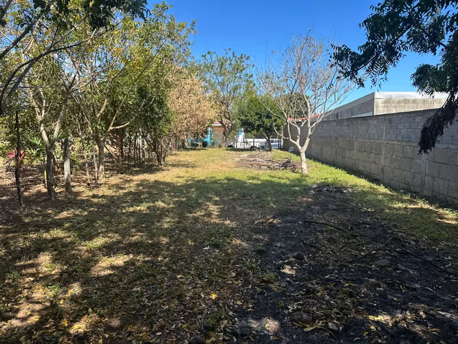 Venta de Terreno Carretera  hacia Veracruz MP - Imagen 8