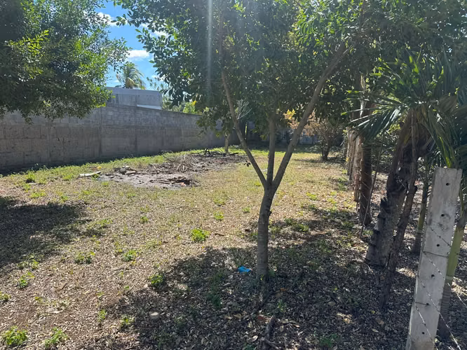 Venta de Terreno Carretera  hacia Veracruz MP - Imagen 9