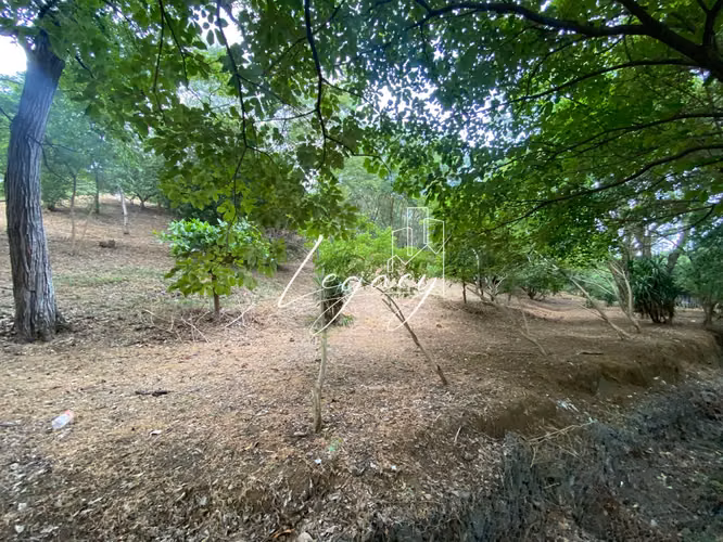 AG-Lotes exclusivos en Venta en Villa Fontana Sur – Vista Panorámica y Plusvalía Garantizada