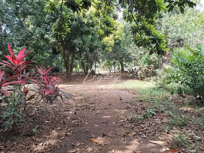 LLD-Terreno en  Venta en Comarca San Antonio Sur cerca de R. Xochitlán - Imagen 4