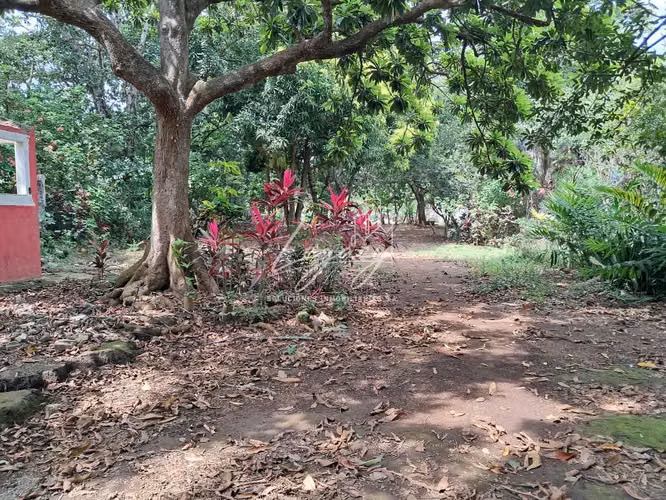LLD-Terreno en  Venta en Comarca San Antonio Sur cerca de R. Xochitlán - Imagen 6