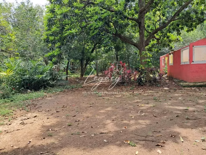 LLD-Terreno en  Venta en Comarca San Antonio Sur cerca de R. Xochitlán - Imagen 5