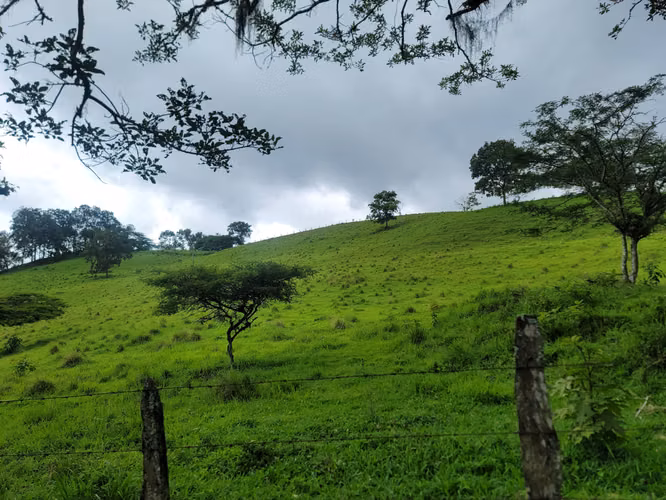 Venta de Finca en Jinotega | 79 manzanas - Imagen 18