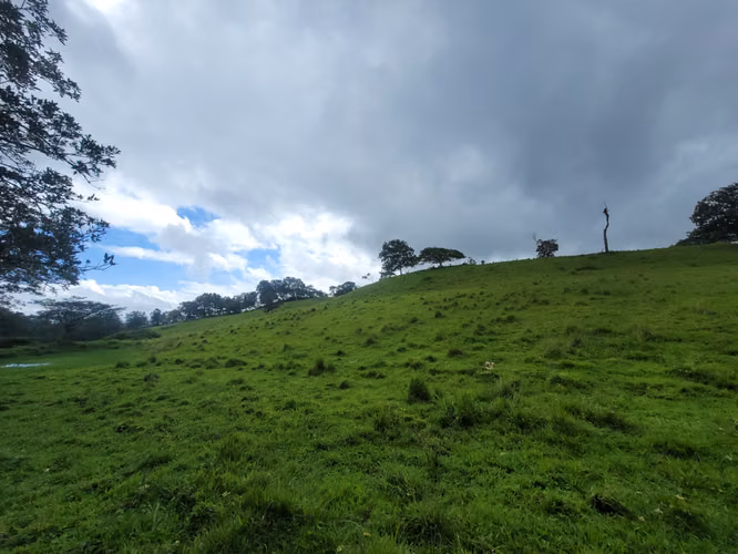 Venta de Finca en Jinotega | 79 manzanas - Imagen 19
