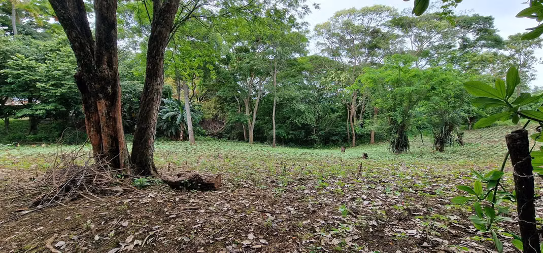 Venta de Terreno en Camino a Jocote Dulce
