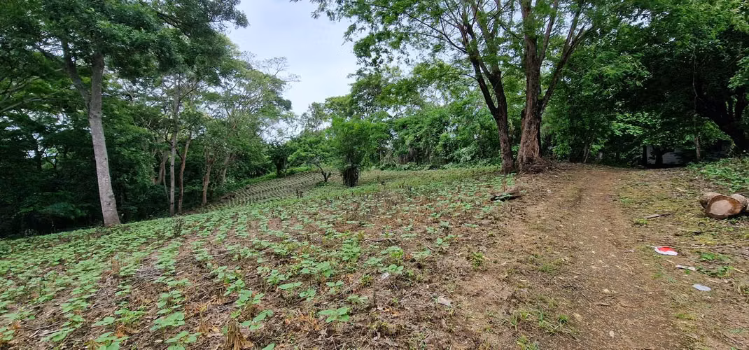 Venta de Terreno en Camino a Jocote Dulce