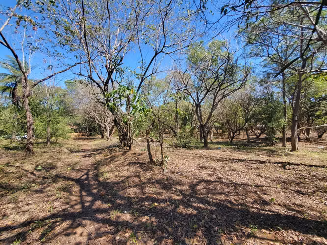 DG-Vendo finca en Carretera Tipitapa, Masaya km 34.5