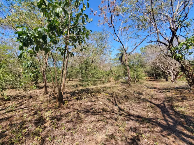 DG-Vendo finca en Carretera Tipitapa, Masaya km 34.5