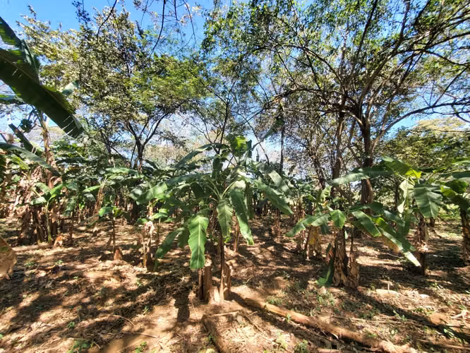 DG-Vendo finca en Carretera Tipitapa, Masaya km 34.5