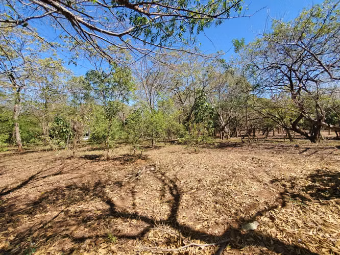 DG-Vendo finca en Carretera Tipitapa, Masaya km 34.5