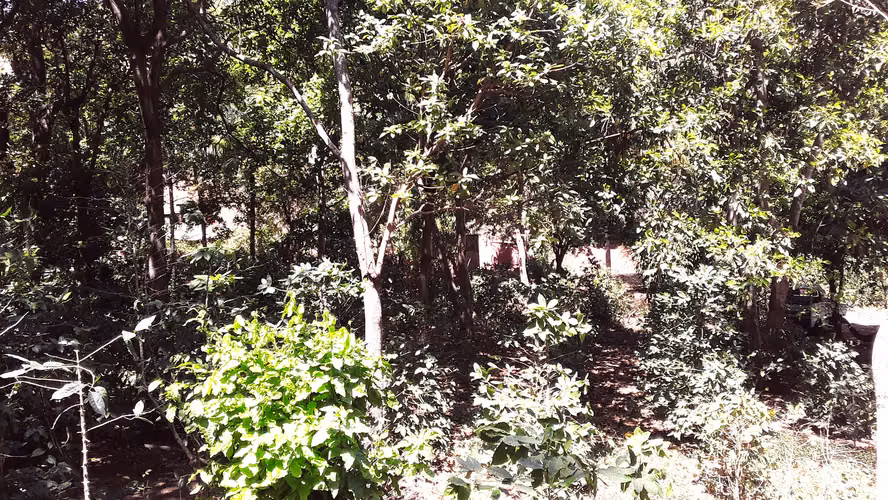 Hermosa finca en venta – Carretera Sur